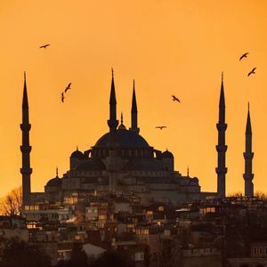 人妖作爱视频直播
